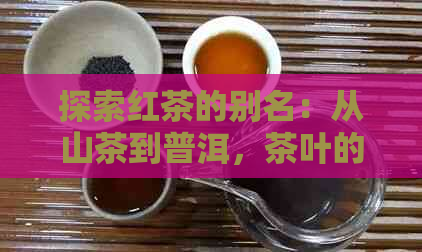 探索红茶的别名：从山茶到普洱，茶叶的世界里还有什么未知的秘密？