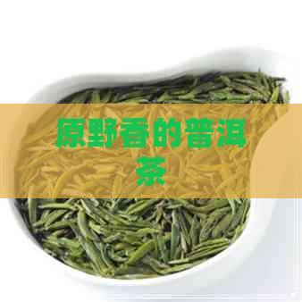 原野香的普洱茶