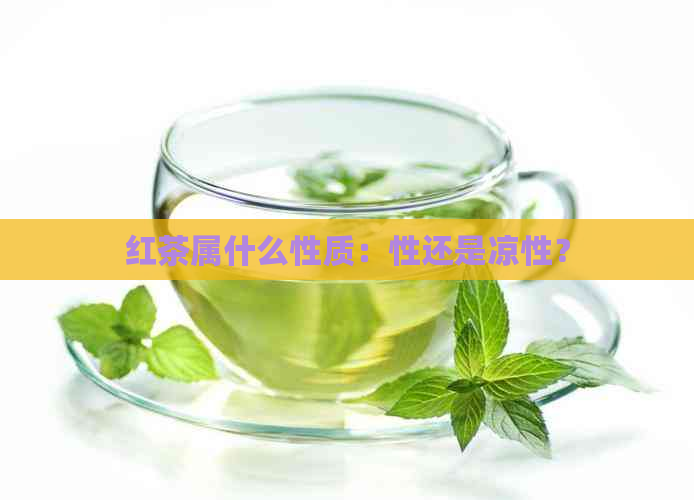 红茶属什么性质：性还是凉性？