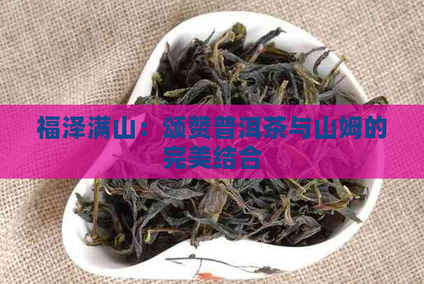 福泽满山：颂赞普洱茶与山姆的完美结合