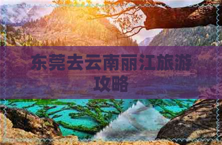 东莞去云南丽江旅游攻略