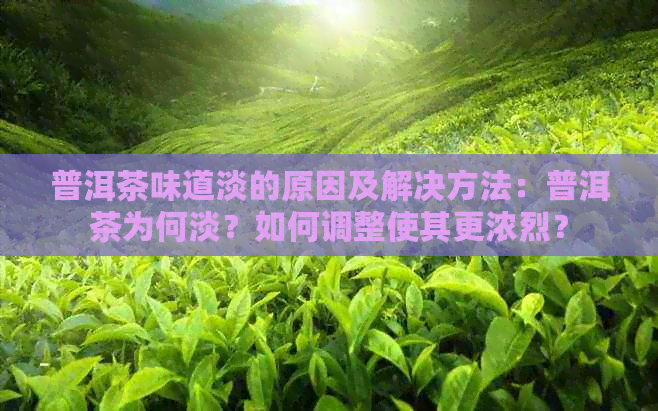 普洱茶味道淡的原因及解决方法：普洱茶为何淡？如何调整使其更浓烈？