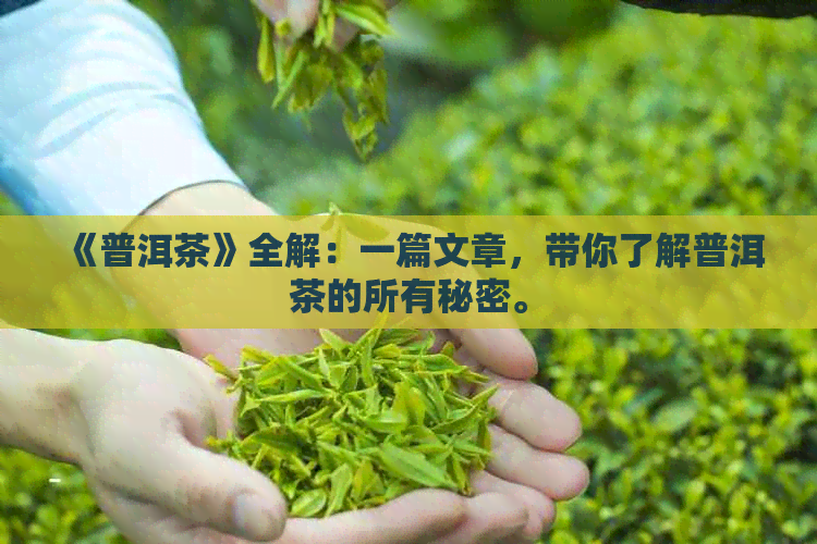 《普洱茶》全解：一篇文章，带你了解普洱茶的所有秘密。