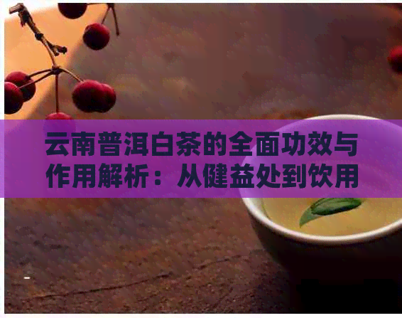 云南普洱白茶的全面功效与作用解析：从健益处到饮用方法的全方位指南