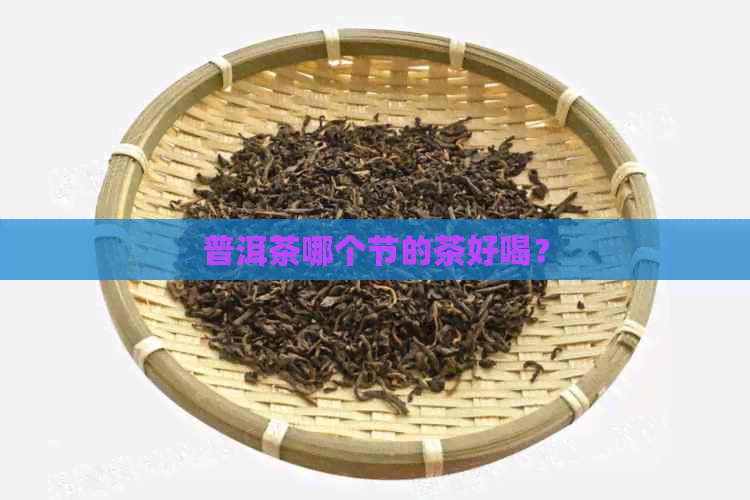 普洱茶哪个节的茶好喝？