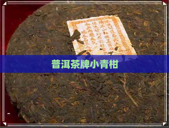 普洱茶牌小青柑