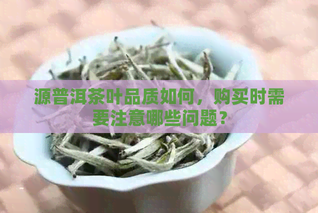 源普洱茶叶品质如何，购买时需要注意哪些问题？