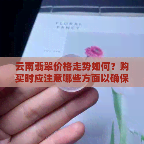 云南翡翠价格走势如何？购买时应注意哪些方面以确保性价比高？