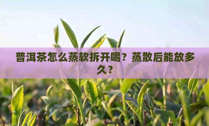 普洱茶怎么蒸软拆开喝？蒸散后能放多久？