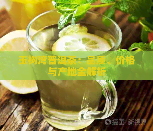 玉树湾普洱茶：品质、价格与产地全解析