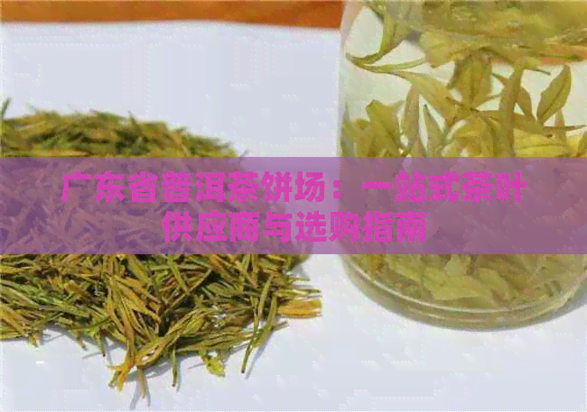 广东省普洱茶饼场：一站式茶叶供应商与选购指南