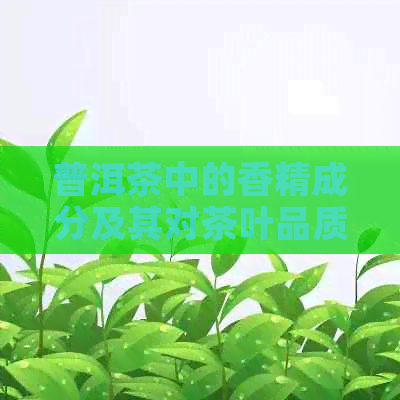 普洱茶中的香精成分及其对茶叶品质的影响：一次全面的解读