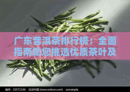 广东普洱茶排行榜：全面指南助您挑选优质茶叶及了解市场动态