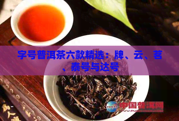 字号普洱茶六款精选：牌、云、茗、泰号与达号