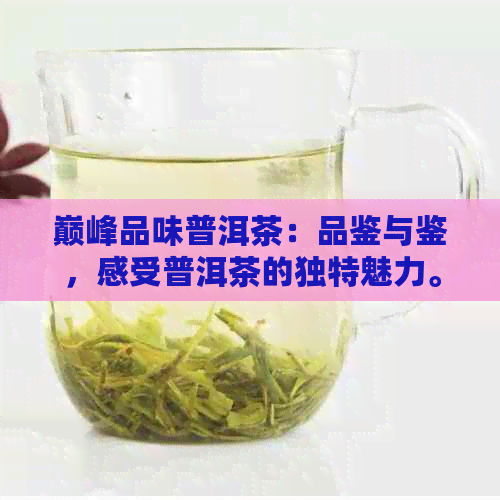 巅峰品味普洱茶：品鉴与鉴，感受普洱茶的独特魅力。