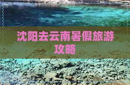 沈阳去云南暑假旅游攻略