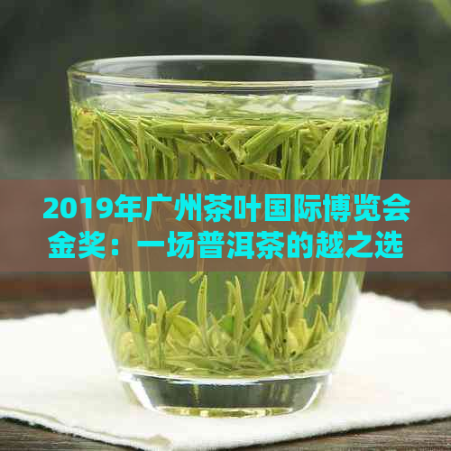 2019年广州茶叶国际博览会金奖：一场普洱茶的越之选