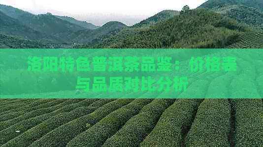 洛阳特色普洱茶品鉴：价格表与品质对比分析