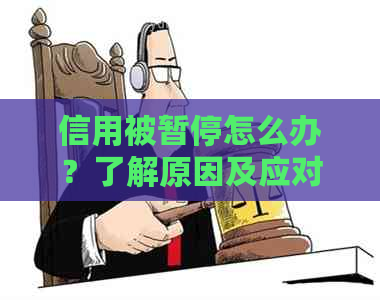 信用被暂停怎么办？了解原因及应对措