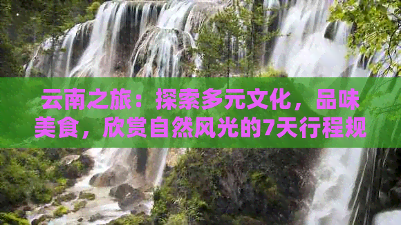 云南之旅：探索多元文化，品味美食，欣赏自然风光的7天行程规划