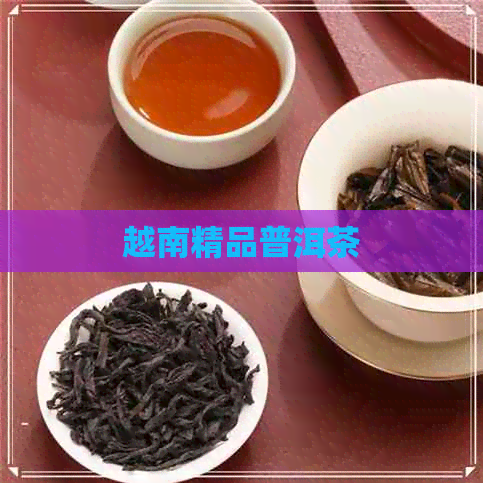 越南精品普洱茶