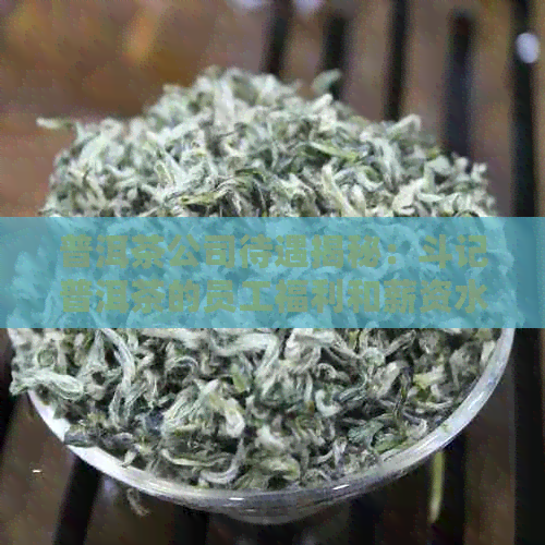 普洱茶公司待遇揭秘：斗记普洱茶的员工福利和薪资水平如何？