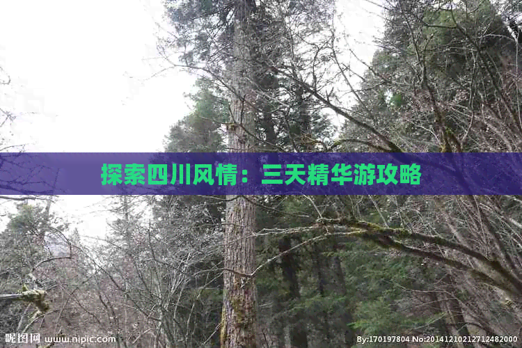 探索四川风情：三天精华游攻略