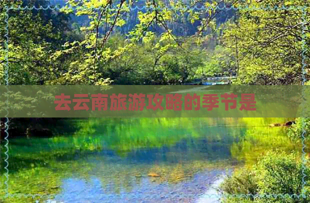 去云南旅游攻略的季节是