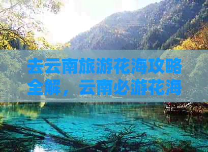 去云南旅游花海攻略全解，云南必游花海景点推荐