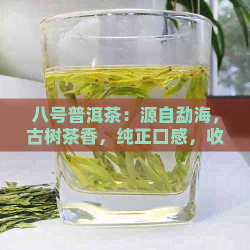 八号普洱茶：源自勐海，古树茶香，纯正口感，收藏珍品