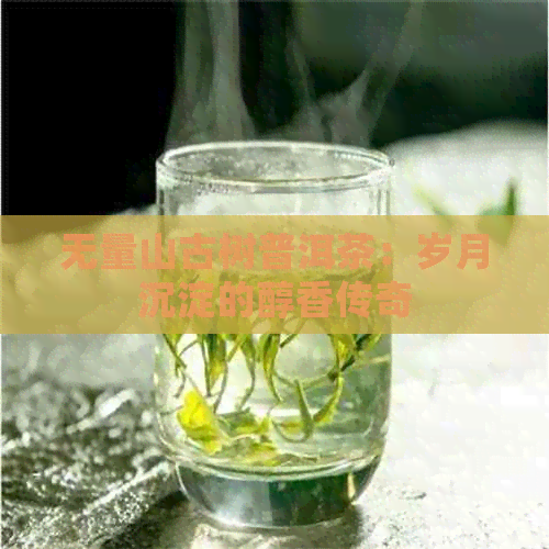 无量山古树普洱茶：岁月沉淀的醇香传奇