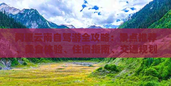 阿里云南自驾游全攻略：景点推荐、美食体验、住宿指南、交通规划一应俱全！