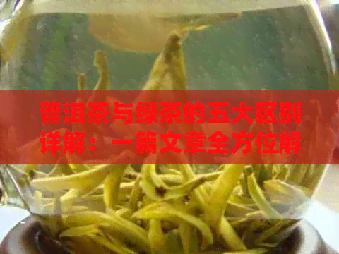 普洱茶与绿茶的五大区别详解：一篇文章全方位解析两者差异