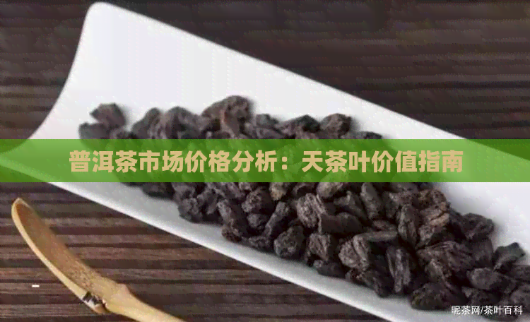 普洱茶市场价格分析：天茶叶价值指南