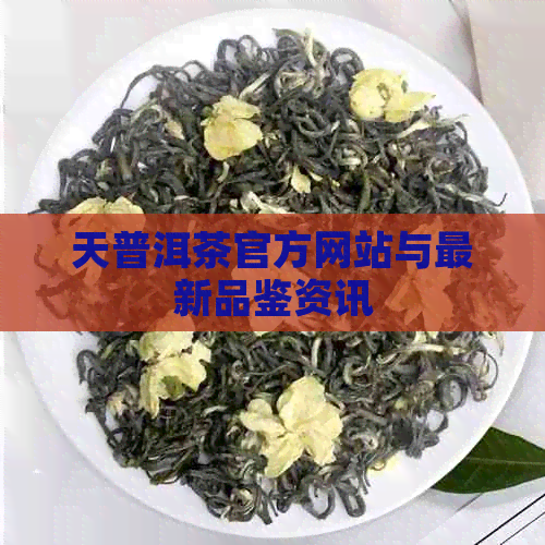 天普洱茶官方网站与最新品鉴资讯