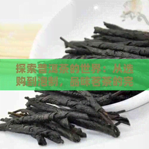 探索普洱茶的世界：从选购到泡制，品味茗茶的完整指南