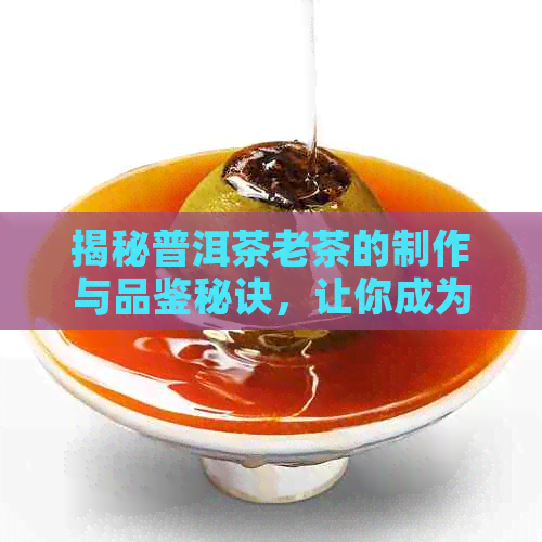 揭秘普洱茶老茶的制作与品鉴秘诀，让你成为茶叶专家