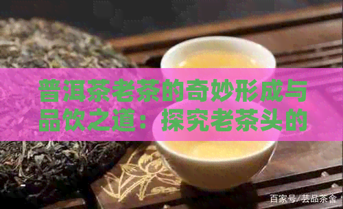 普洱茶老茶的奇妙形成与品饮之道：探究老茶头的秘密