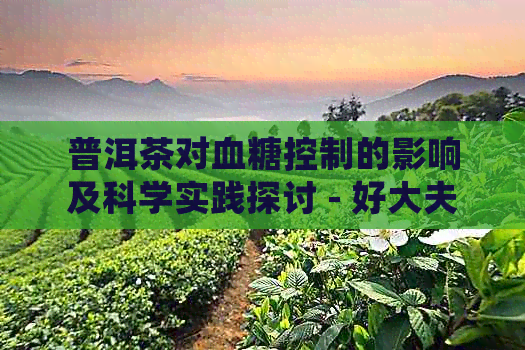 普洱茶对血糖控制的影响及科学实践探讨 - 好大夫在线