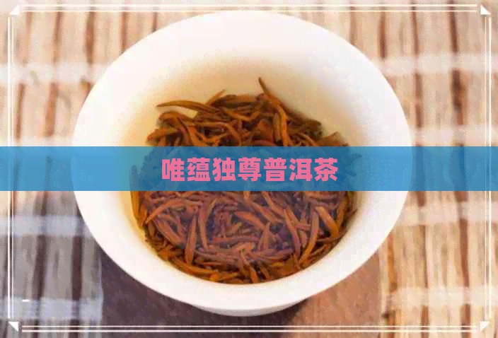 唯蕴独尊普洱茶