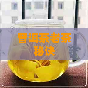 普洱茶老茶秘诀