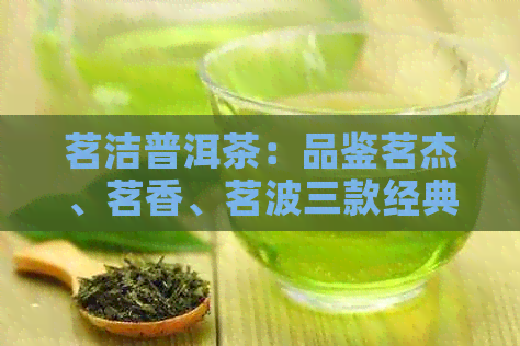 茗洁普洱茶：品鉴茗杰、茗香、茗波三款经典普洱茶