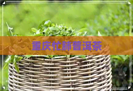 重庆忙肺普洱茶