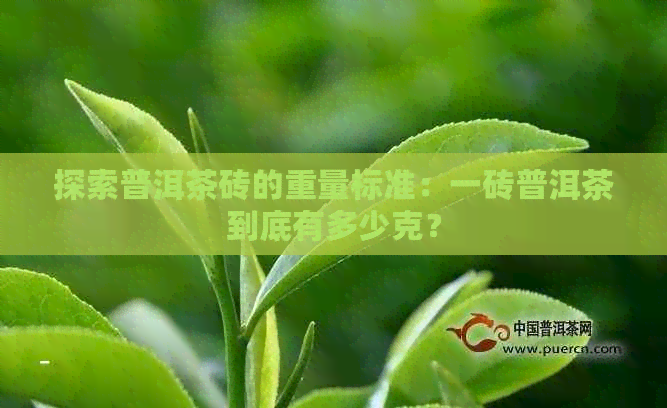 探索普洱茶砖的重量标准：一砖普洱茶到底有多少克？