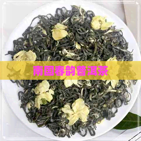 南国春韵普洱茶