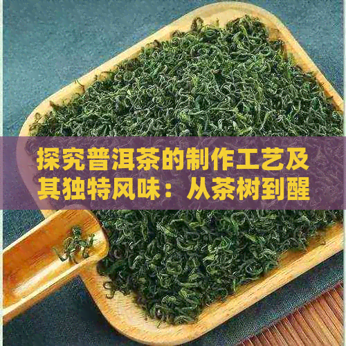 探究普洱茶的制作工艺及其独特风味：从茶树到醒目饼的过程