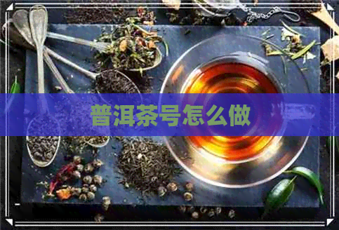 普洱茶号怎么做