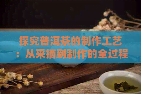 探究普洱茶的制作工艺：从采摘到制作的全过程分析