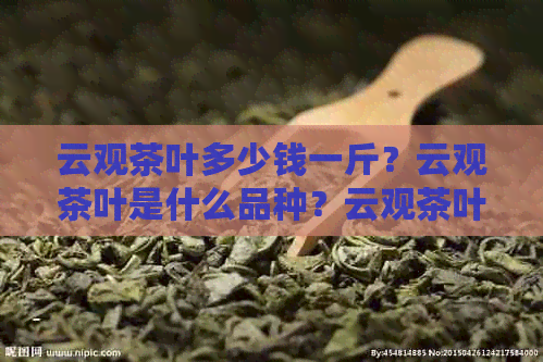 云观茶叶多少钱一斤？云观茶叶是什么品种？云观茶叶经营哪些茶？