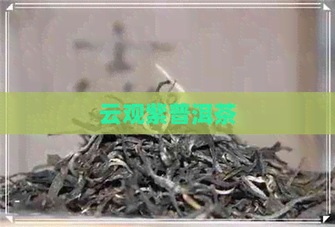 云观紫普洱茶